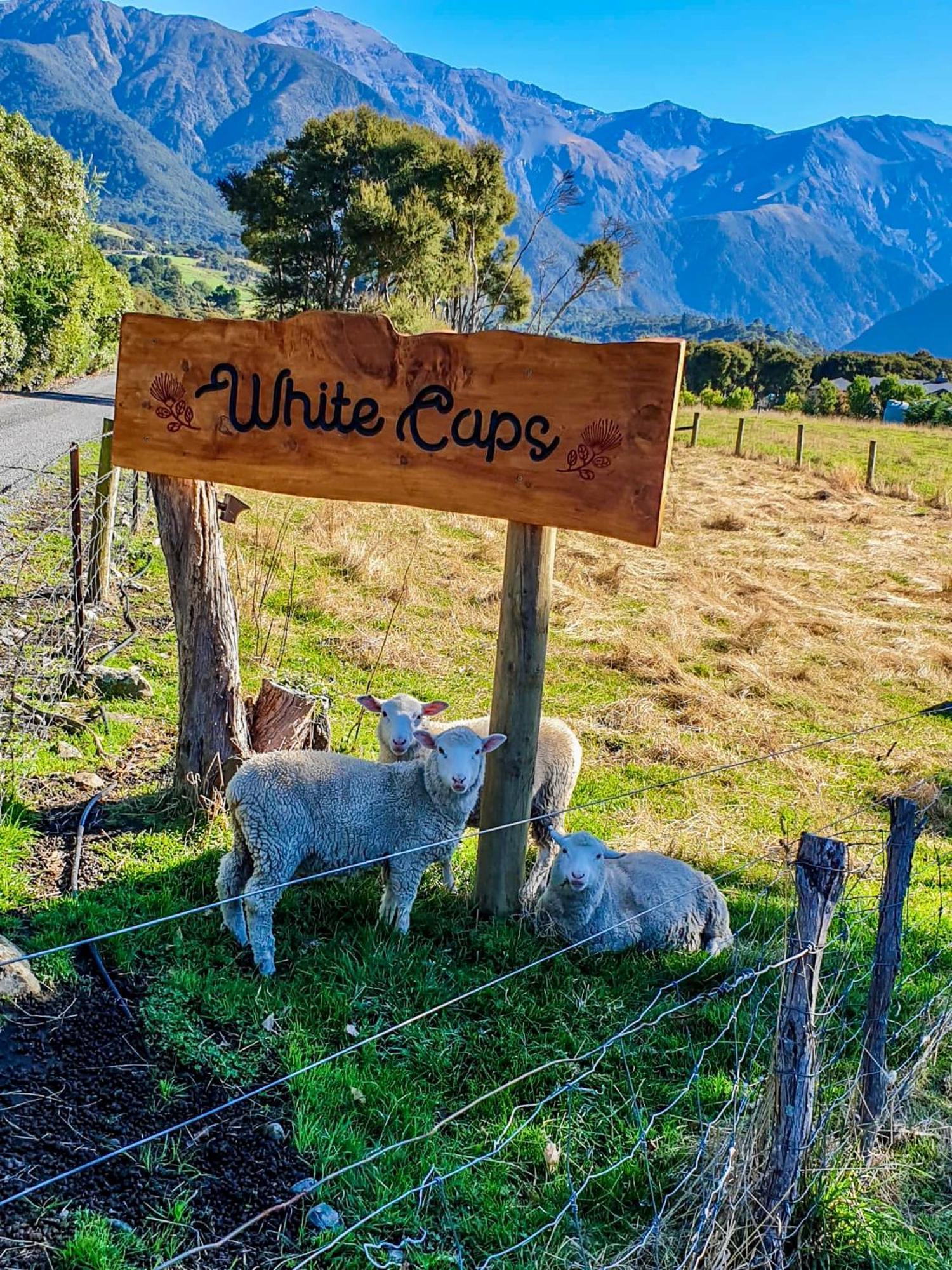 White Caps Kaikoura Farmstay Exterior photo